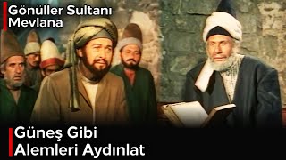 Gönüller Sultanı Mevlana Seyyid Burhaneddin, Mevlanaya Hocalık Eder