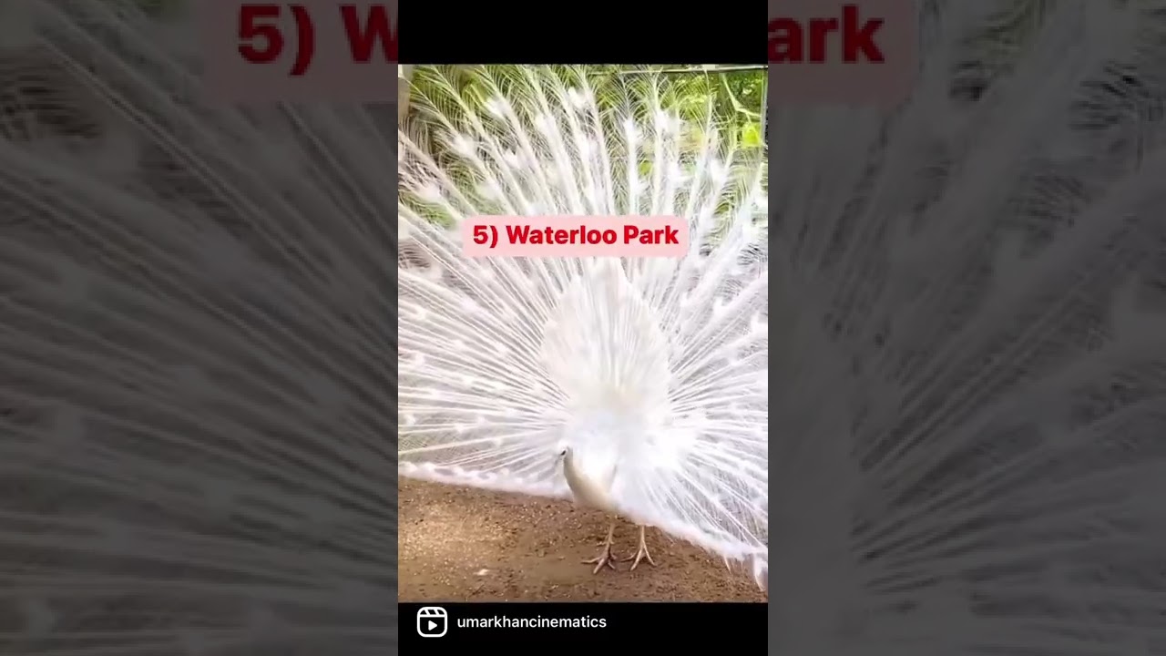 Best Places to Visit in Waterloo | Students in Waterloo | Explore Waterloo