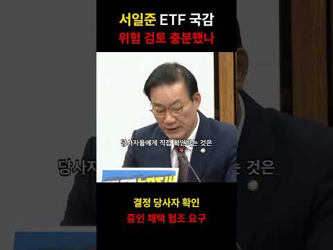 서일준 ETF 국감｜위험 검토 충분했나 #shorts