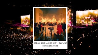 STRAY KIDS (스트레이 키즈) - TOPLINE [CONCERT EFFECT]