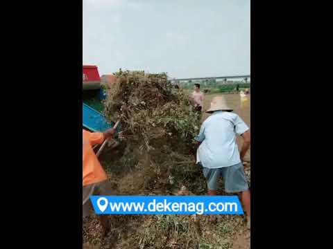 China peanut picker