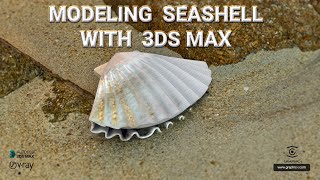 Modeling scallop seashell in 3ds Max  tutorial