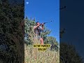 Airgun, stability and precision