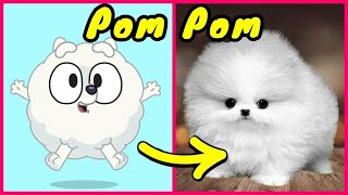 Bluey In Real Life And Other Favorites! | Bluey Season 3