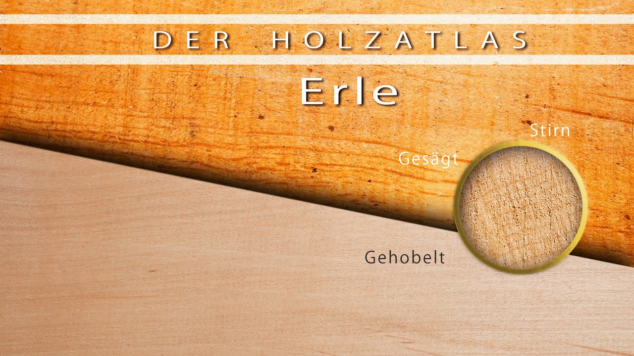 Erle - Das Chamäleon unter den Hölzern!