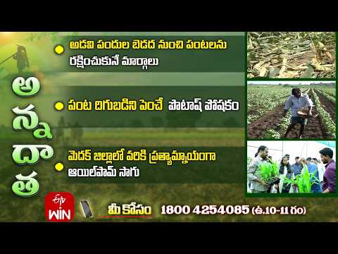 16th August 2026 | Annadata | అన్నదాత | Full Episode | ETV Telugu