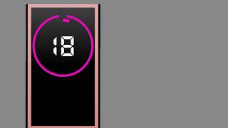 Roselander Ballroom Countdown 2013