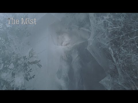The Mist: Traveling in the fog. Come home and see a spider cocoon instead of a wife