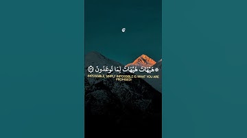 هيهات هيهات لما توعدون | سورة المؤمنون #ياسر_الدوسري 🌿🎧