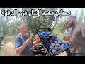 نصائح و توعية للفلاح و تصحيح بعض الاخطاء التقنية في زراعة أشجار البرقوق نصائح و توعية للفلاح و تصحيح بعض الاخطاء التقنية في زراعة أشجار البرقوق