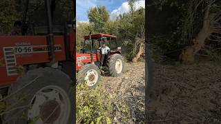 Traktör İle Tomruk Çekme