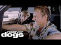 Mr. Orange & Mr. White Go Over The Heist Plans | Reservoir Dogs