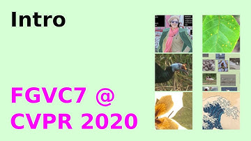 FGVC7: Intro to the 7th Workshop on Fine-Grained Visual Categorization at CVPR 2020