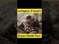 🐙 Kya aap jaante ho? sabse intelligent sea creatures me se ek hai! 🧠#Octopus #aryanmalikfact #shorts