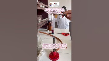 Strawberry 🍓 Carbohydrate Reducing sugar testing with practical guru Monu sharma