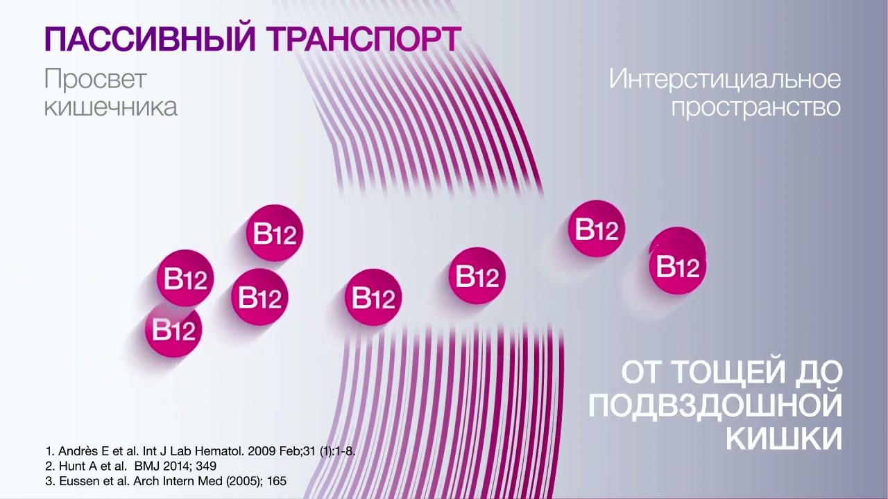 Секреты препарата В12 Анкерманн