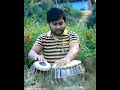 rasiya #tabla_cover hindi_new_song