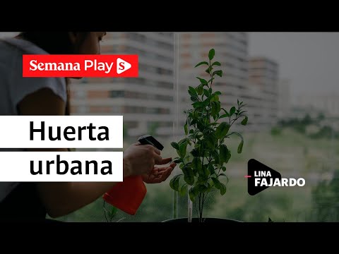 ¿Cómo tener una huerta en casa? | Lina Fajardo