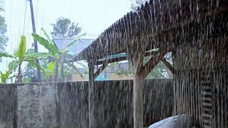 Rain Sounds for Sleeping – ASMR Rain on Shingle Roof for Sleeping & Relaxing screenshot 3