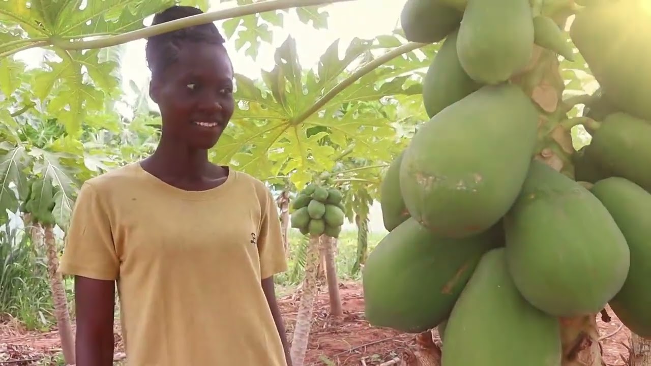 🌾🚜 Découvrez le son officiel de la SoNaMA ! 🎶