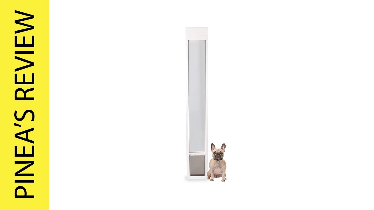 Best Doggie Door for Sliding Glass Door 2023 Top 5 YouTube