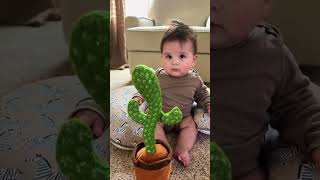 Baby's adorable jump scare by talking cactus