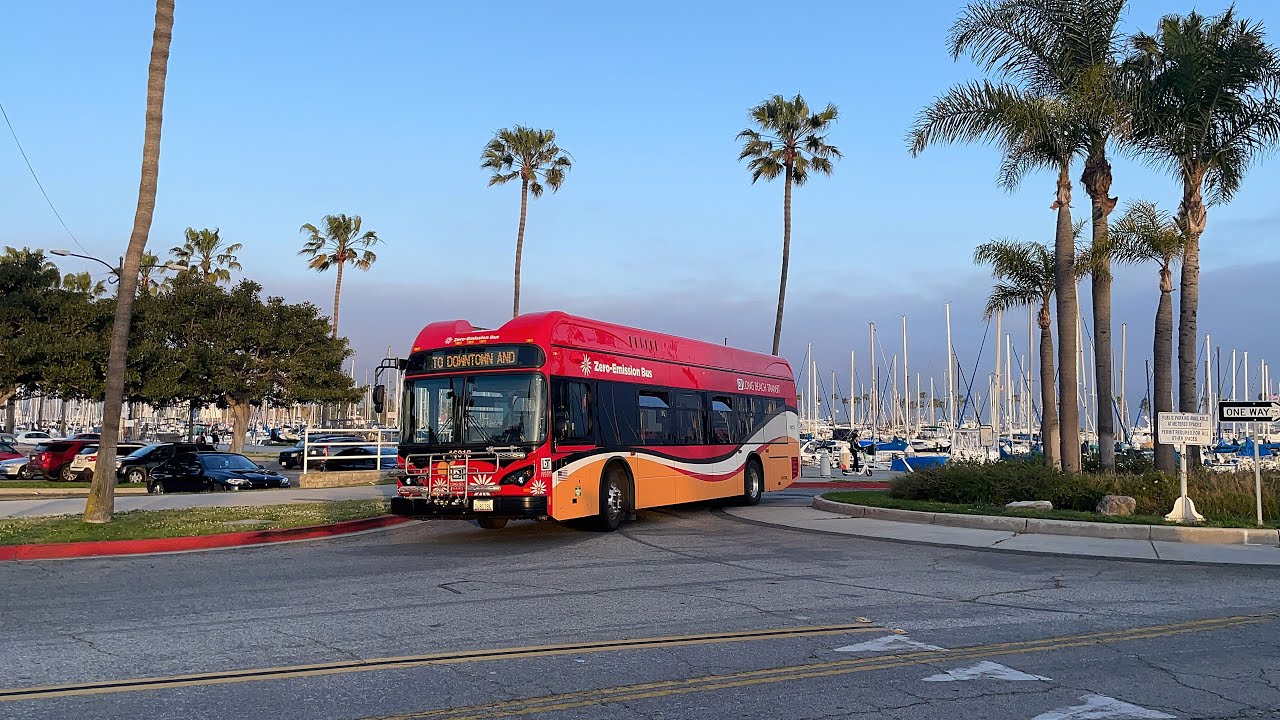 Long Beach Transit action