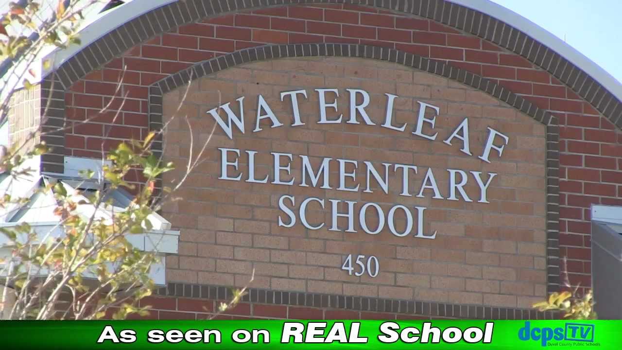 Waterleaf Elementary Deaf and Hard of Hearing YouTube