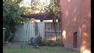 2 step wallflip fall!