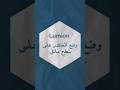 Lumionوضع العنصر على سطح مائل #3dmax#revit #lumion#تعلم_الريفيت #تعلم_اللوميون #فوتوشوب #اوتوكاد