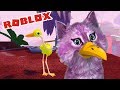 Я ПТИЧКА! БЕЗУМНЫЕ ПТИЦЫ В РОБЛОКС roblox bird