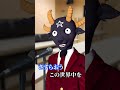 【検証】逆再生の歌を逆再生したら普通の歌に聞こえる説 - さすらい / 奥田民生 #shorts