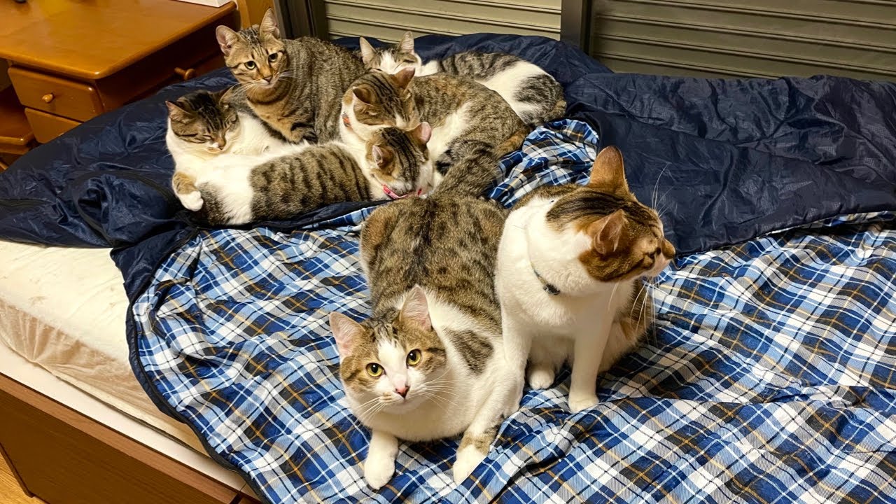 タロちゃんを保護してもうすぐ2年。 It's been almost two years
