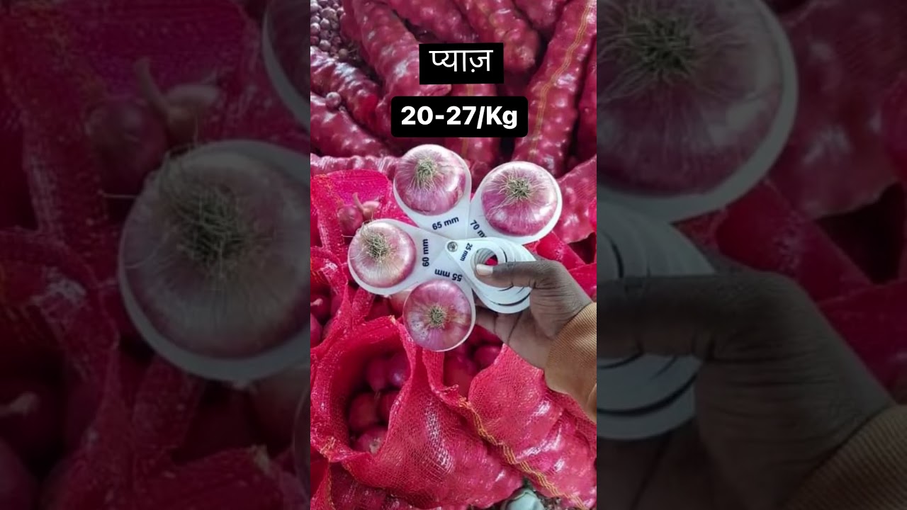 “Daily Mandi Rates” on Agrowave Kisaan App.