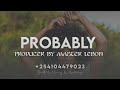 Seben X Afro Congo X Dombolo X Rumba X Bongo Fleva Instrumental Beat Probably 