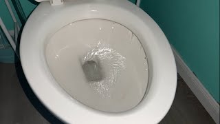 2021 American Standard Edgemere Toilet Closeup Slowmo Flush!