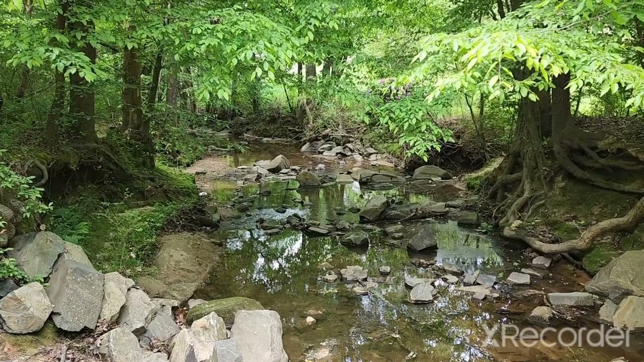 Squirrel Lake Park, April 2022