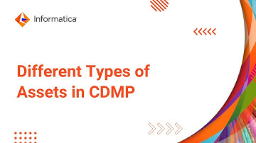 Different Types of Assets in CDMP
