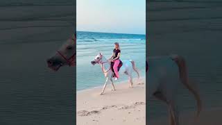 horse riding on the beach #shorts