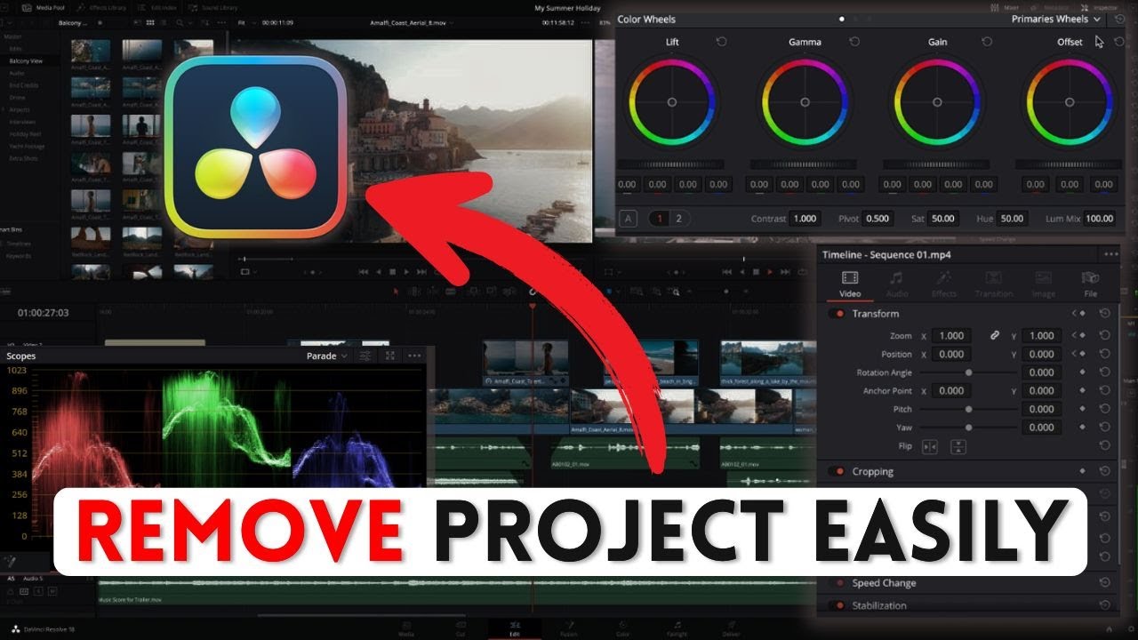 How to Remove Project in DaVinci Resolve 2025? - YouTube