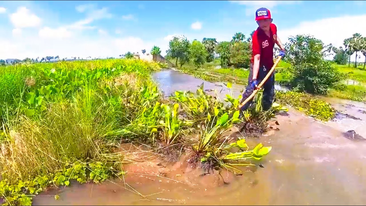 Action Remove Floating Plants Grow On Massive Dam Drain Water After Heavy Rain To Canal