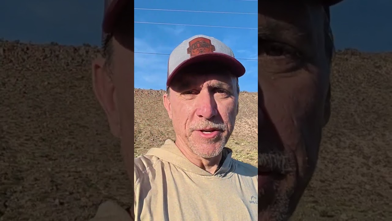 Banded Rock Rattlesnakes in New Mexico