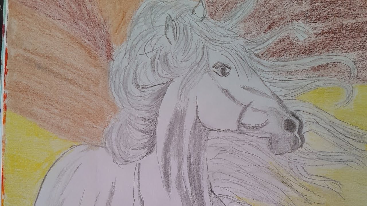Cool horse sketch |aamira's art 