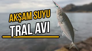Akşam Suyu Lrf Ile Tral Avı - Alanyakonaklı Varsa Alirizz