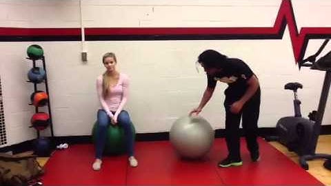 Lab 6 - Sensorimotor Integration I