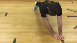 The Closed Kinetic Chain Upper Extremity Stability Test