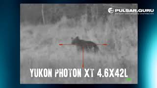 Охота на медведя с ночным прицелом YUKON PHOTON Охота на медведя с ночным прицелом YUKON PHOTON