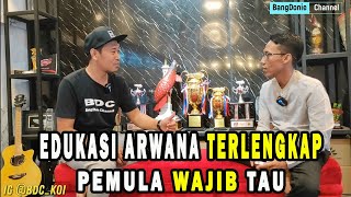 EDUKASI LENGKAP UNTUK PEMULA SEBELUM MEMELIHARA ARWANA DAN PERAWATAN MUDAH // BROTHERED BOGOR #PART2