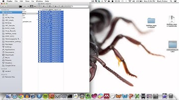 HeFPipe Tutorial-Some important notes about the input