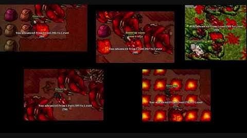 my life in realots.net.wmv